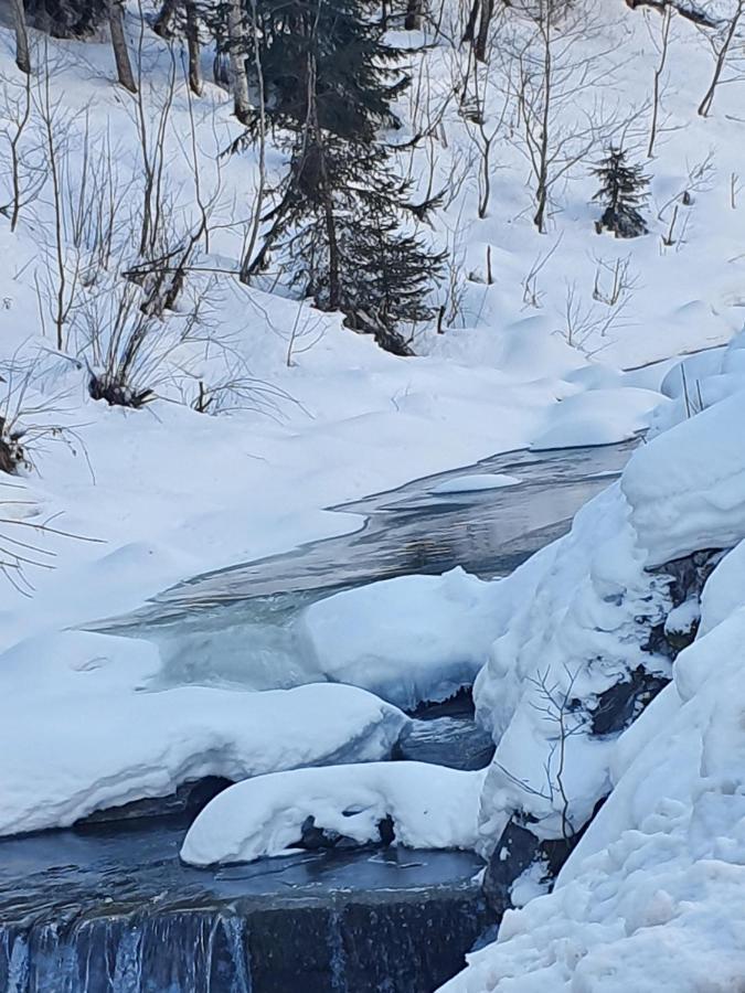 Lederer Haeus'L, Ferienwohnungen Ellmau Bagian luar foto