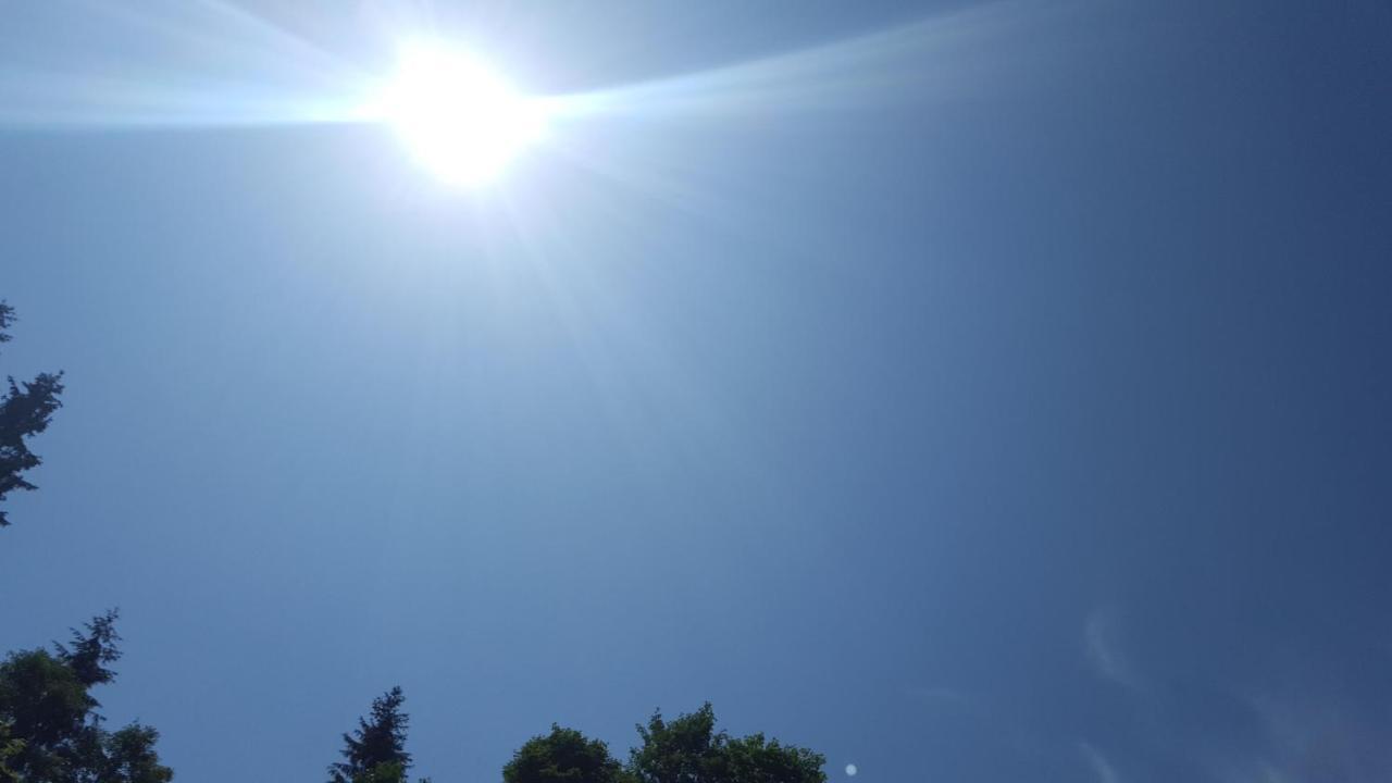 Lederer Haeus'L, Ferienwohnungen Ellmau Bagian luar foto